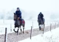 Schools close as parts of UK see first snow of season