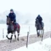 Schools close as parts of UK see first snow of season