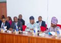 FINANCE MINISTER HIGHLIGHTS CAPITAL MARKET GROWTH IN SENATE BUDGET REVIEW