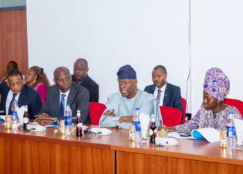 FINANCE MINISTER HIGHLIGHTS CAPITAL MARKET GROWTH IN SENATE BUDGET REVIEW