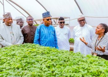 IITA, Other Research Institutions Pivotal To FG’s Agric Revolution – VP Shettima