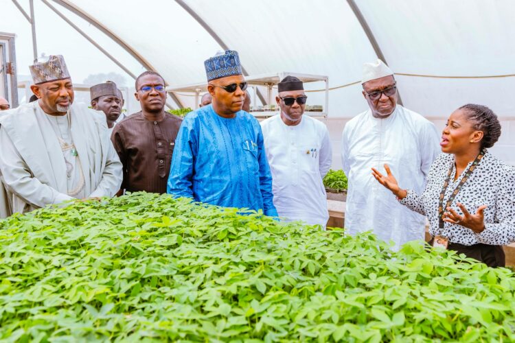 IITA, Other Research Institutions Pivotal To FG’s Agric Revolution – VP Shettima