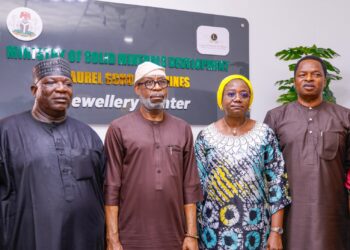 FG To Use Jewellery Making to Create Employment, Generate Revenue, Says Dr. Alake