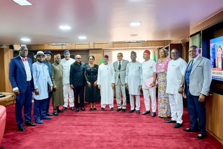 LADO LEADS PRESIDENTIAL NOMINEES FROM RIVERS STATE TO SENATE AD-HOC COMMITTEES FOR SCREENING INTO STRATEGIC STATE INSTITUTIONS
