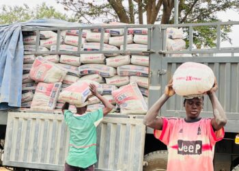 Bespoke Urban Luxury Ltd Donates 600 Bags of Cement to Boost NUJ FCT Ultramodern Congress Hall Project